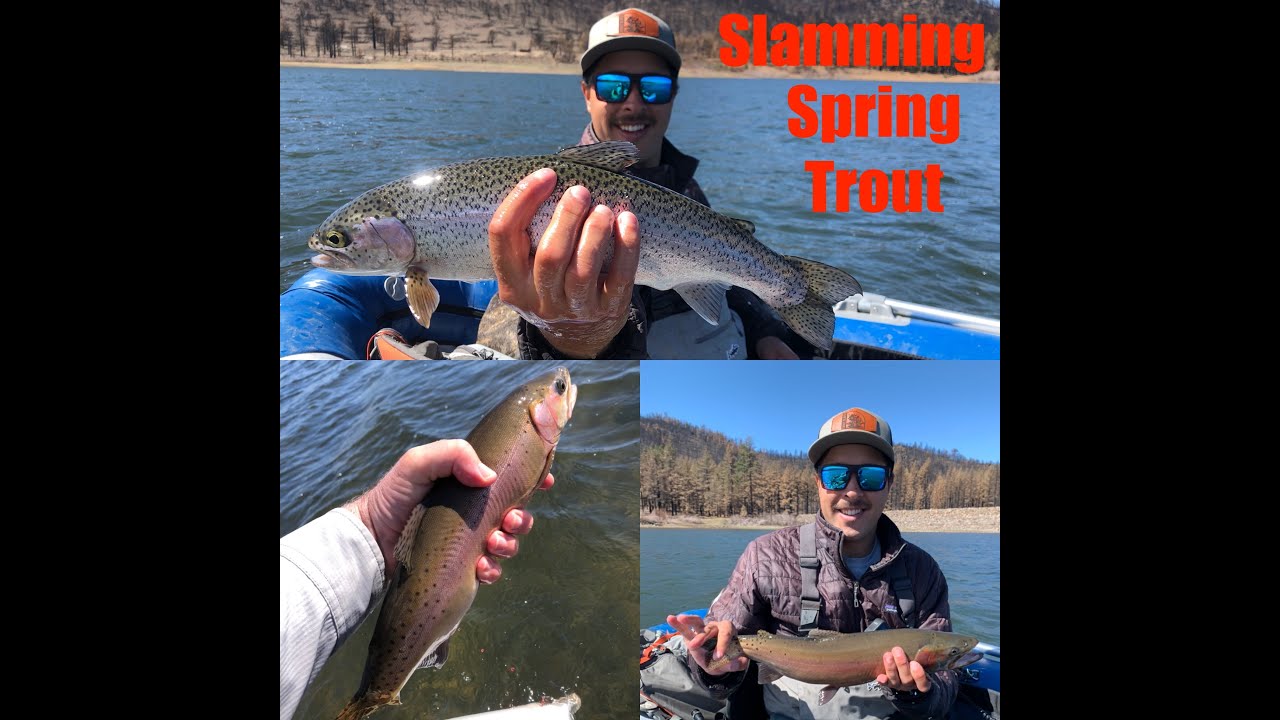 Catching huge healthy SPRING TIME TROUT! (NOT PYRAMID LAKE) CUTTHROAT MADNESS