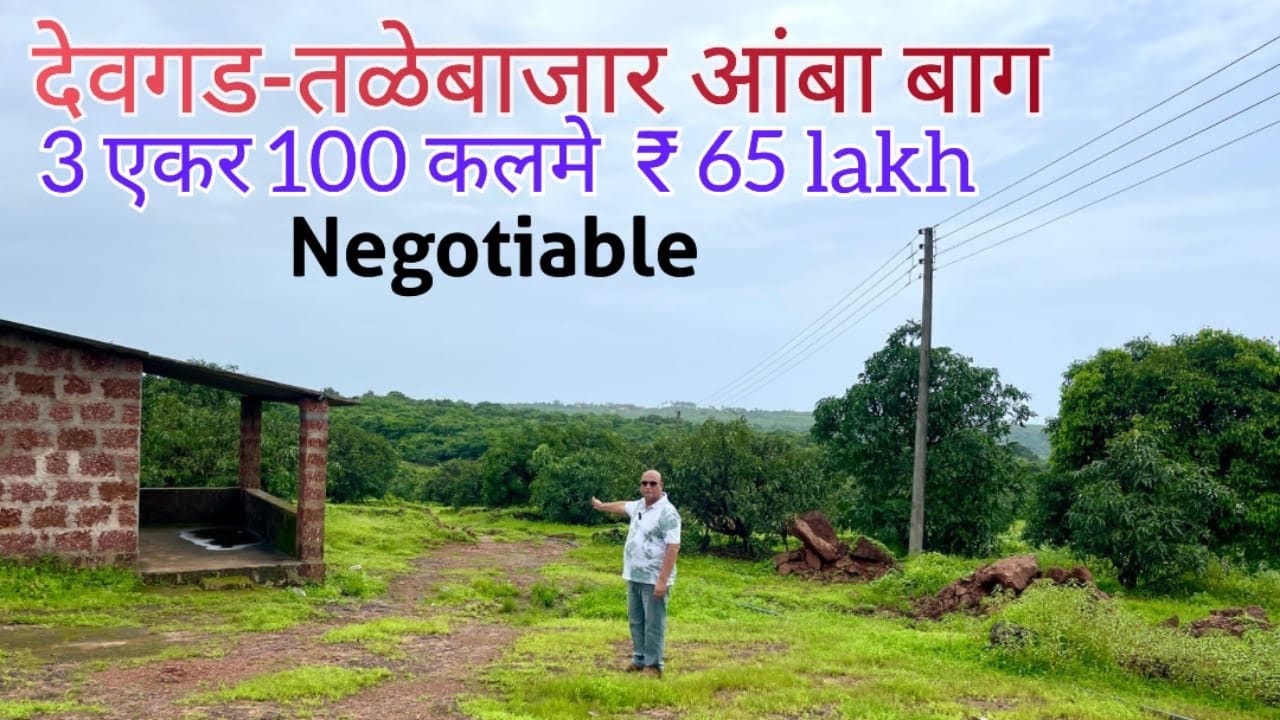 देवगड-तळेबाजार आंबा बाग 3 एकर 100 कलमे @ ₹ 65 lakh negotiable