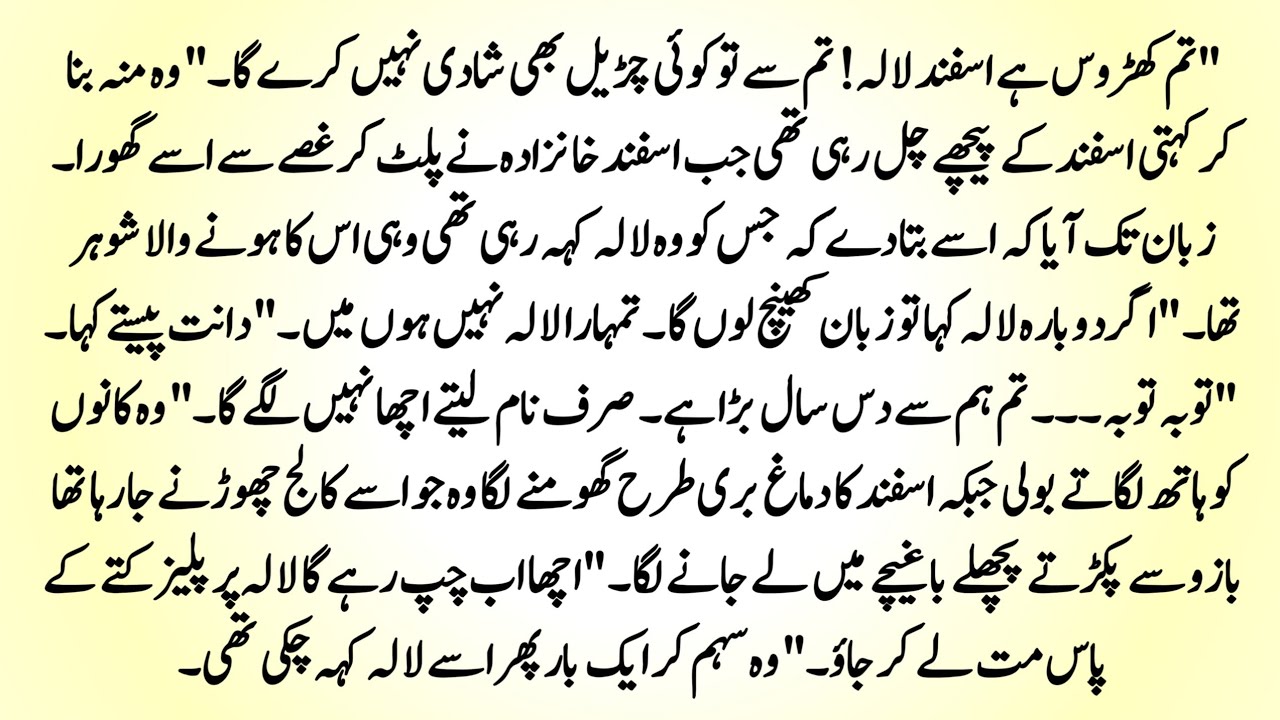 Urdu Novel
