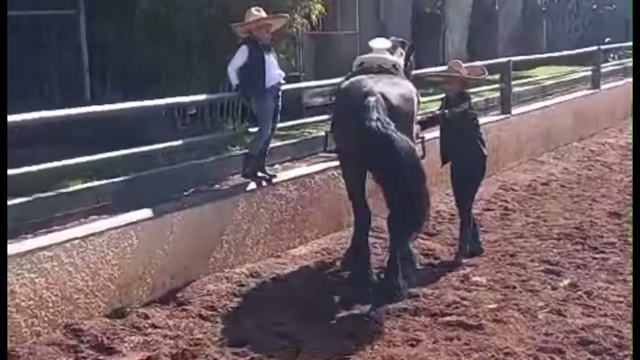 Amarte a la antigua .!  Pedro Fernández
