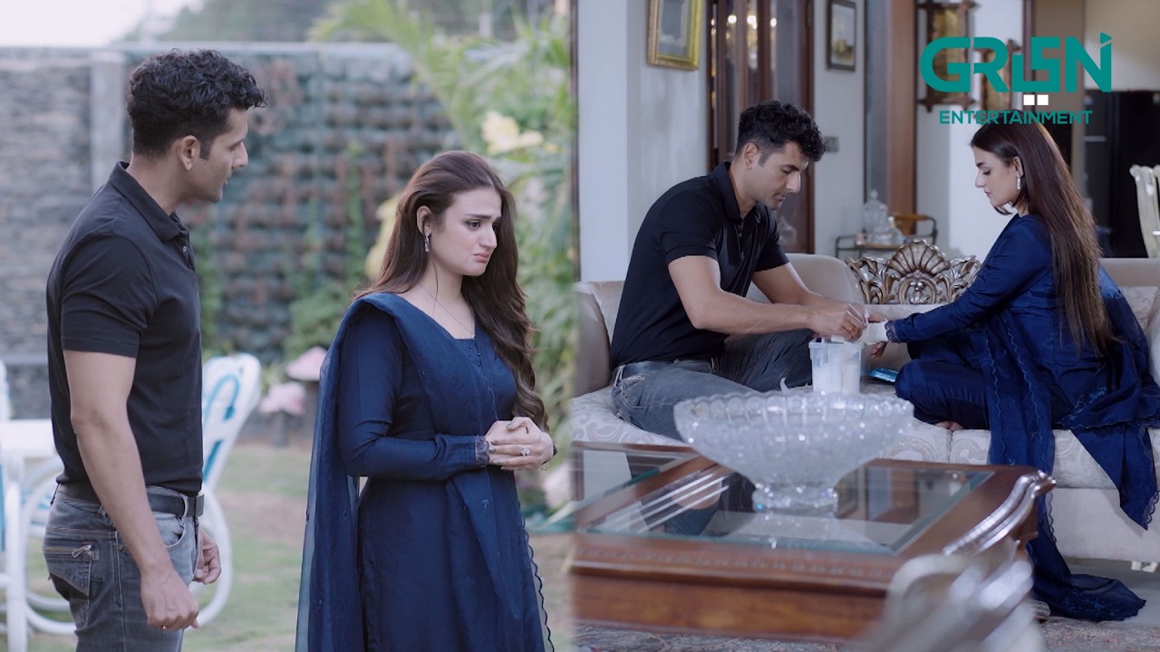 Roshni Ne Shohar Ka Pyar Jeet Liya #hiramani #mohibmirza #rahguzar #shortvideos #greentvdramas