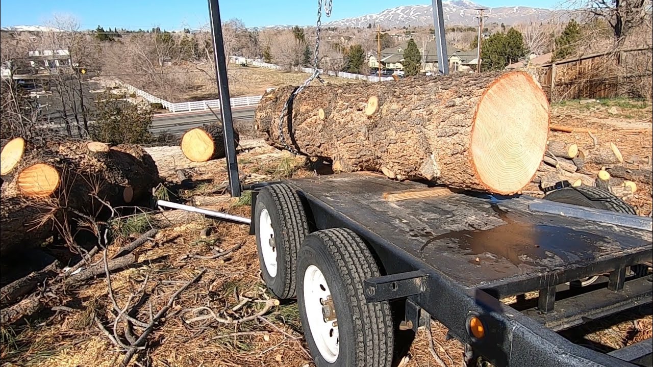 Urban logging with a log arch trailer- I will show you the tricks!