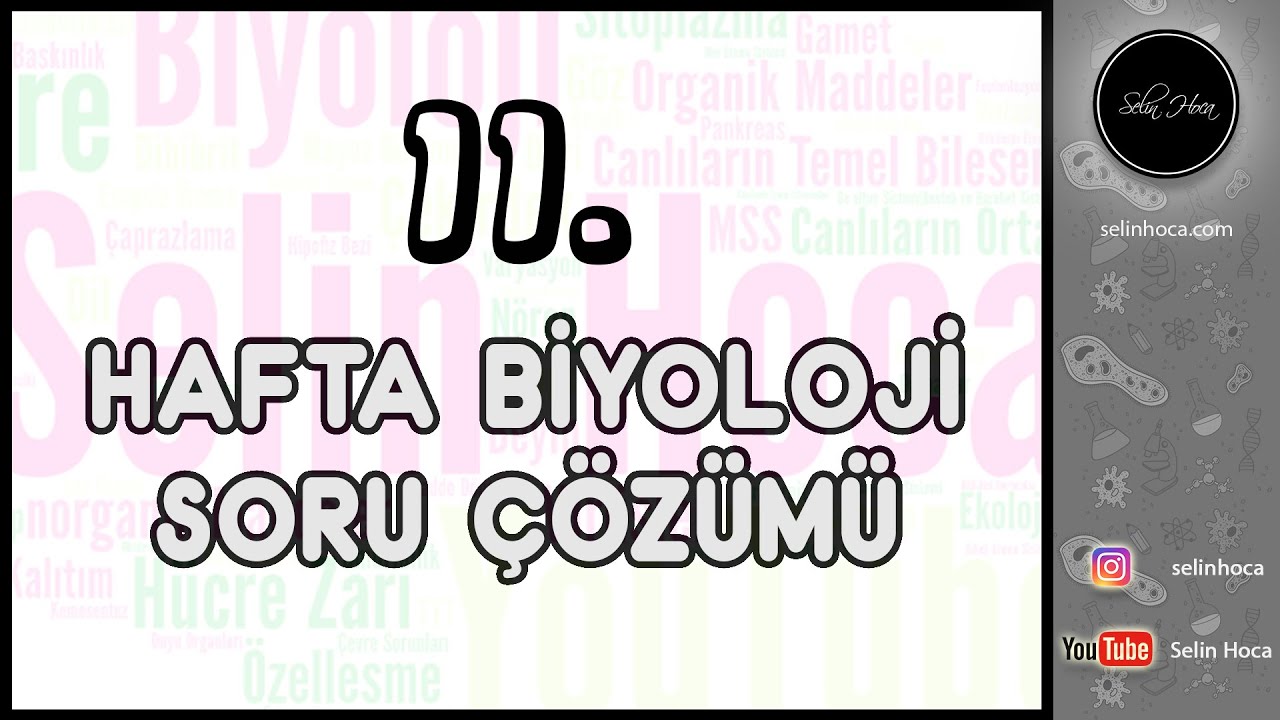 11. Hafta Biyoloji Soru Çözümü