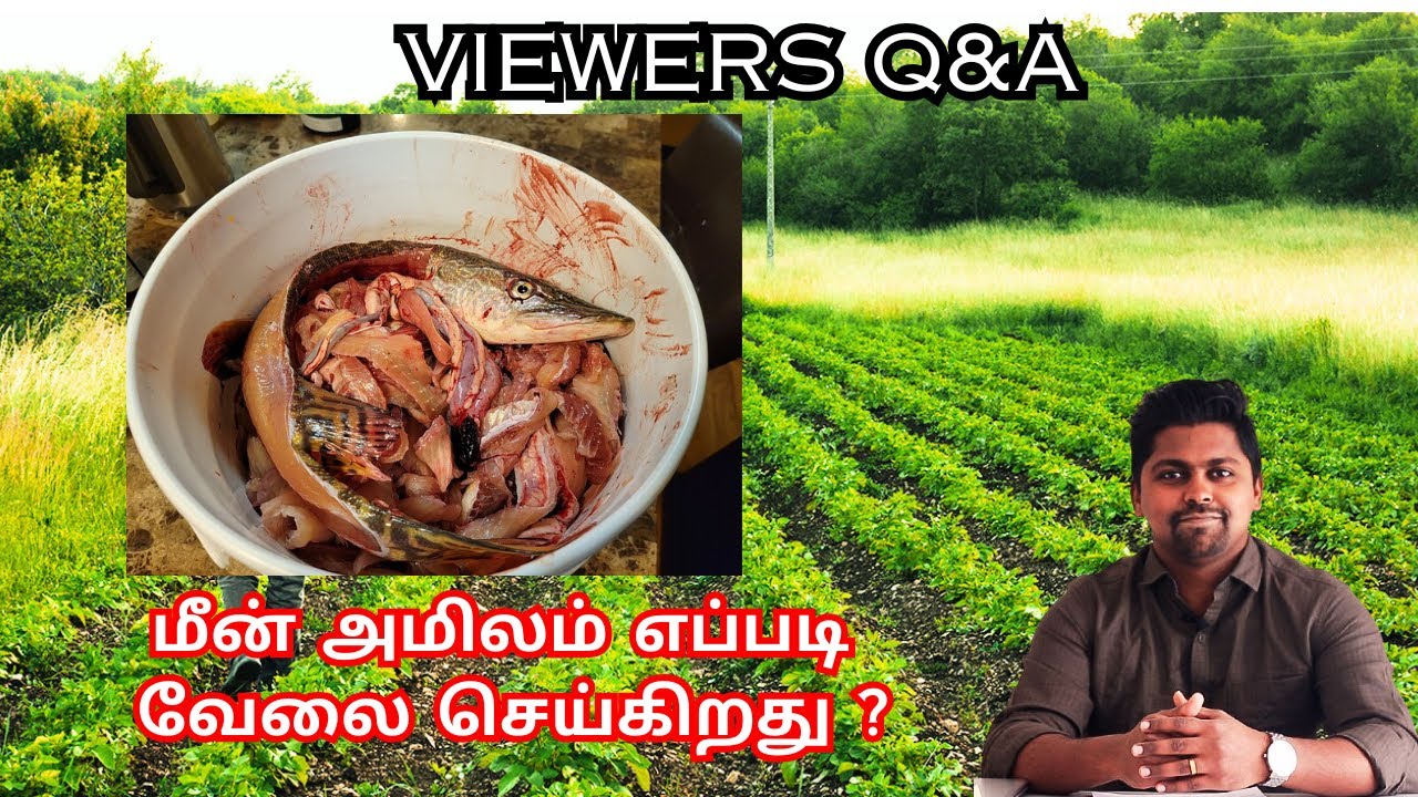 மீன் அமிலம் எப்படி வேலை செய்கிறது ? |  | VIEWERS Q&A