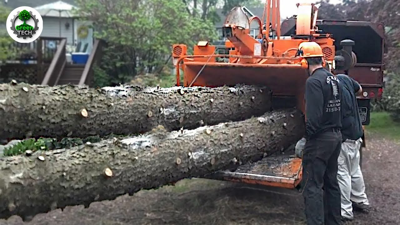 Dangerous Fastest Monster Wood Chipper In Acition | Incredible Tree Shredder Working #19