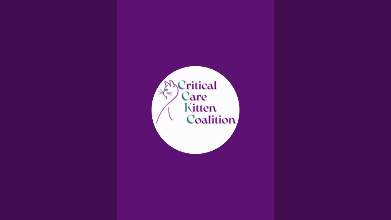 Critical Care Kitten Coalition is live!