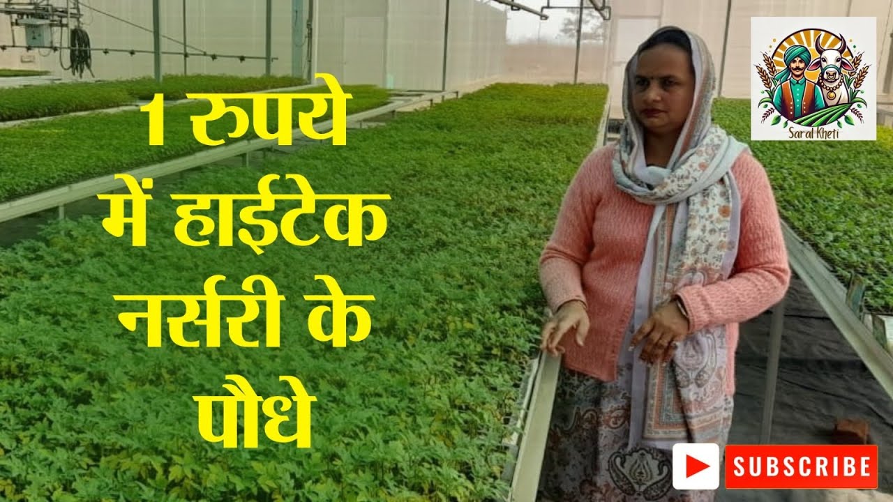 मेरठ में मछरी हाईटेक नर्सरी का कमाल #saralkheti #meerut #nursery #horticulture #plants #farming #up