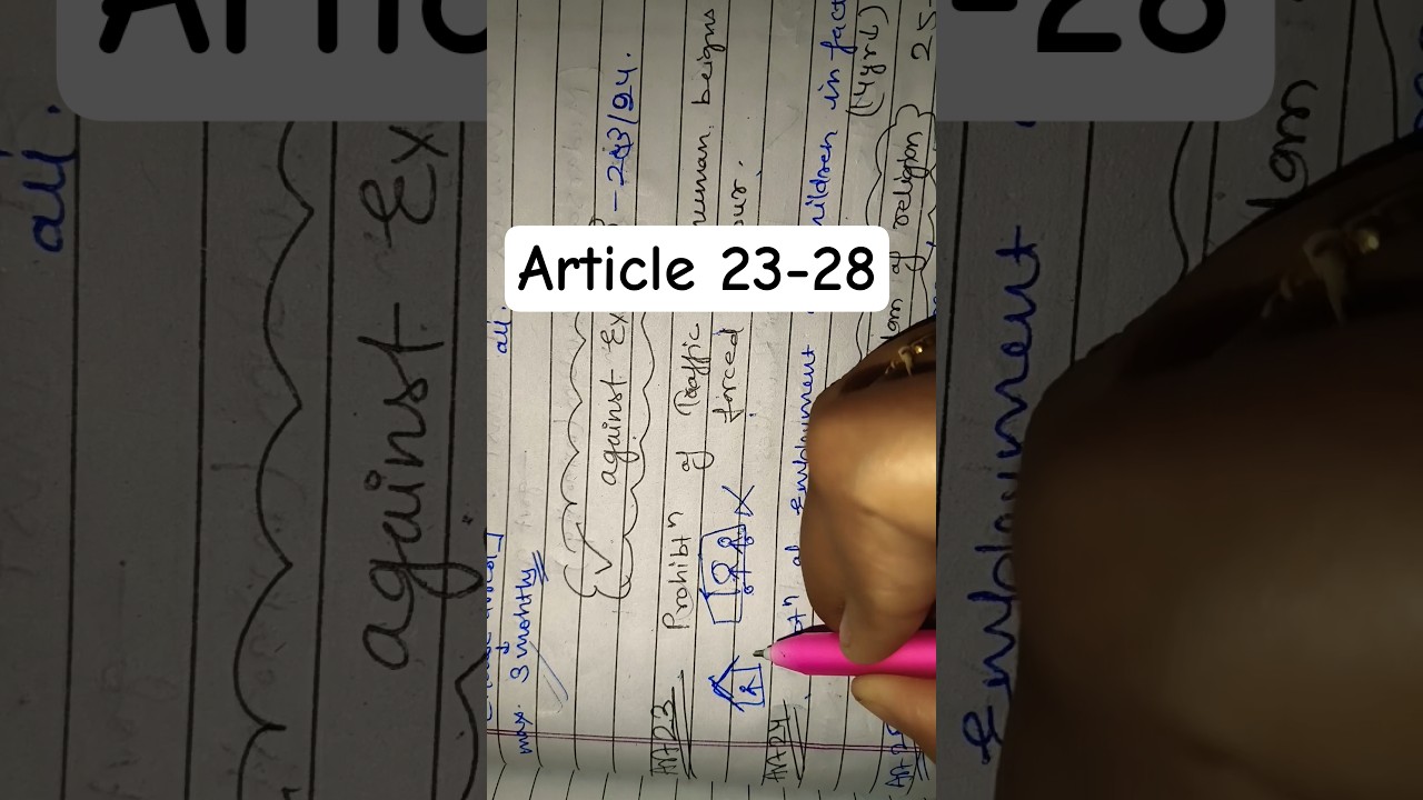 Article 23-28