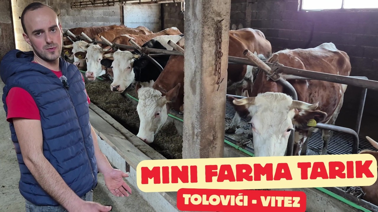 Otkup mlijeka djelimično riješen – farmeri i dalje zabrinuti
