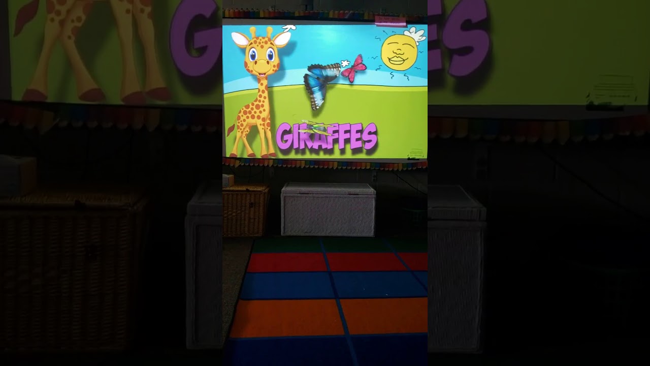 Comparing and Contrasting Nocturnal and Diurnal Animals