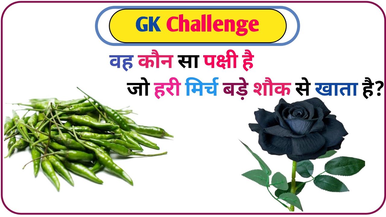 Gk question || GK in Hindi || Gk question and Answer || GK Quiz || Daily GK smart 63