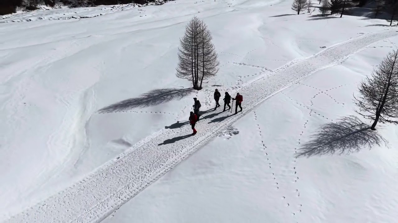 lago del Cavloc 7 3 2026