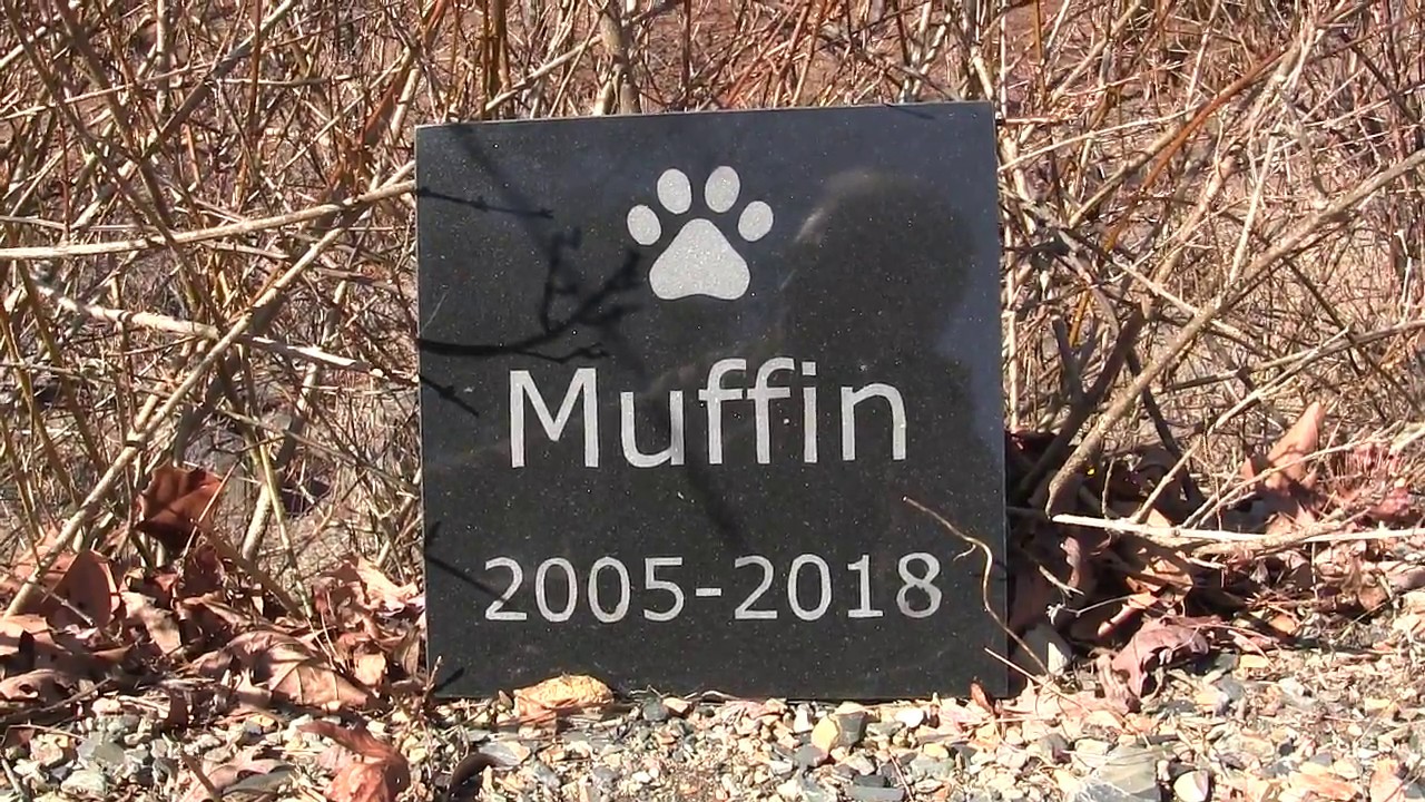How to Make a Granite Marker for Your Pet's Grave