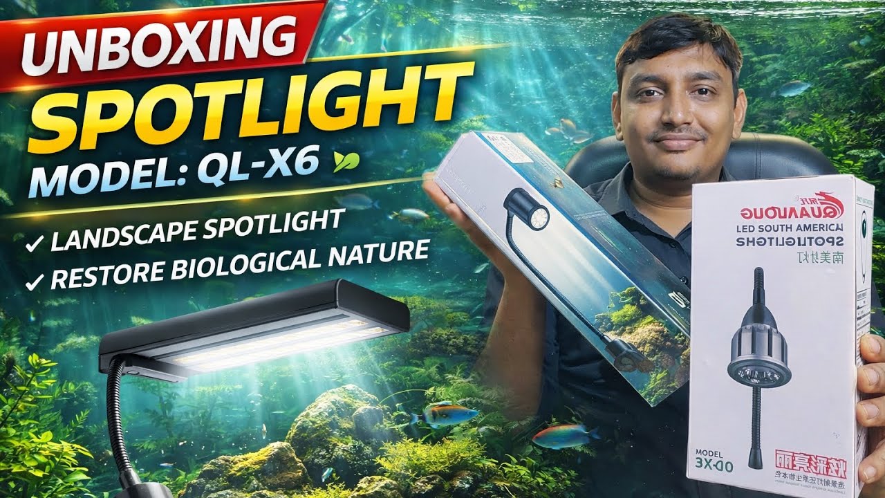 Unboxing Spotlight QL-X6 🌿 | Restore Biological Nature in Aquarium | #QLX6 #AquariumSpotlight