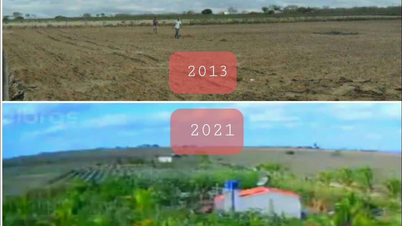 Como comecei meu Sistema Agroflorestal no Semiárido a 8 anos atrás...Vale à pena conferir