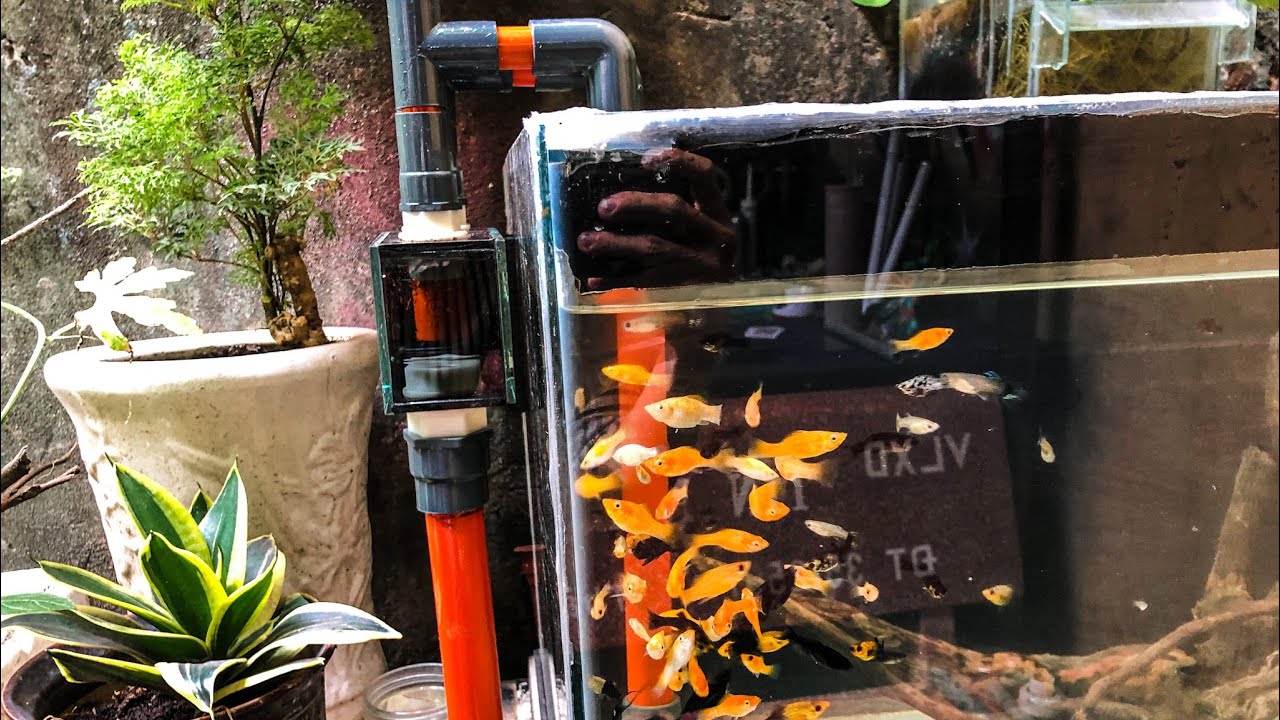 Hệ thống hút đáy và mặt Overflow nhỏ gọn .