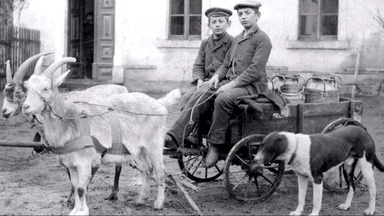 Historische Milchwirtschaft