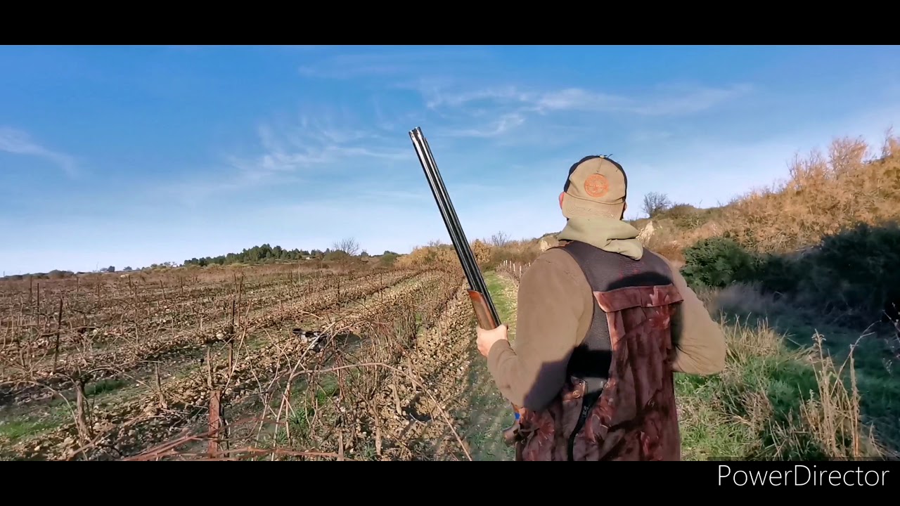 Chasse aux grives dernière sortie 2019 2020 