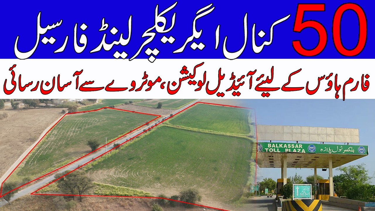 50 Kanal agricultural land for sale | Zari Raqba | District Chakwal | Mirza Real Estate#landforsale