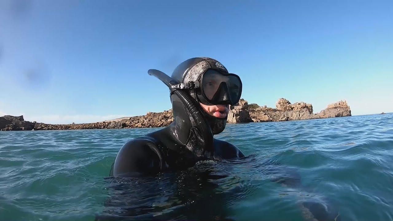 Port Blanc, découverte des fonds marins en hiver