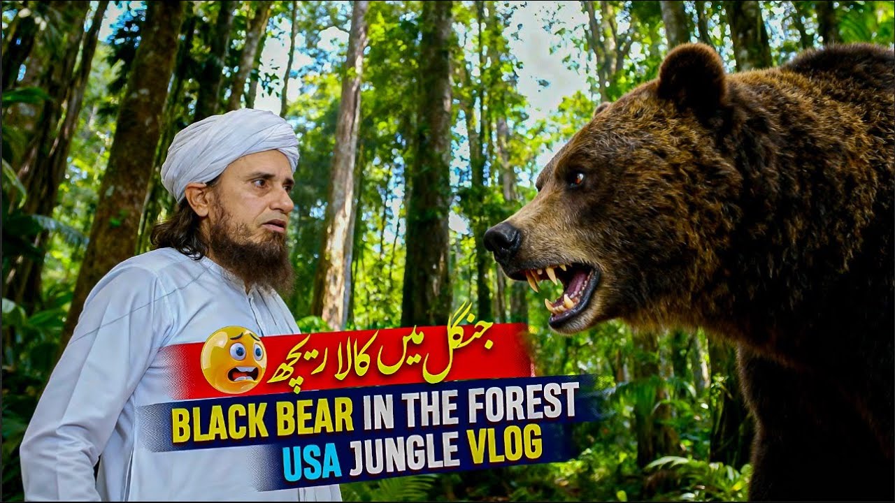 Black Bear In The Forest - Mufti Tariq Masood USA Jungle Vlog 2025