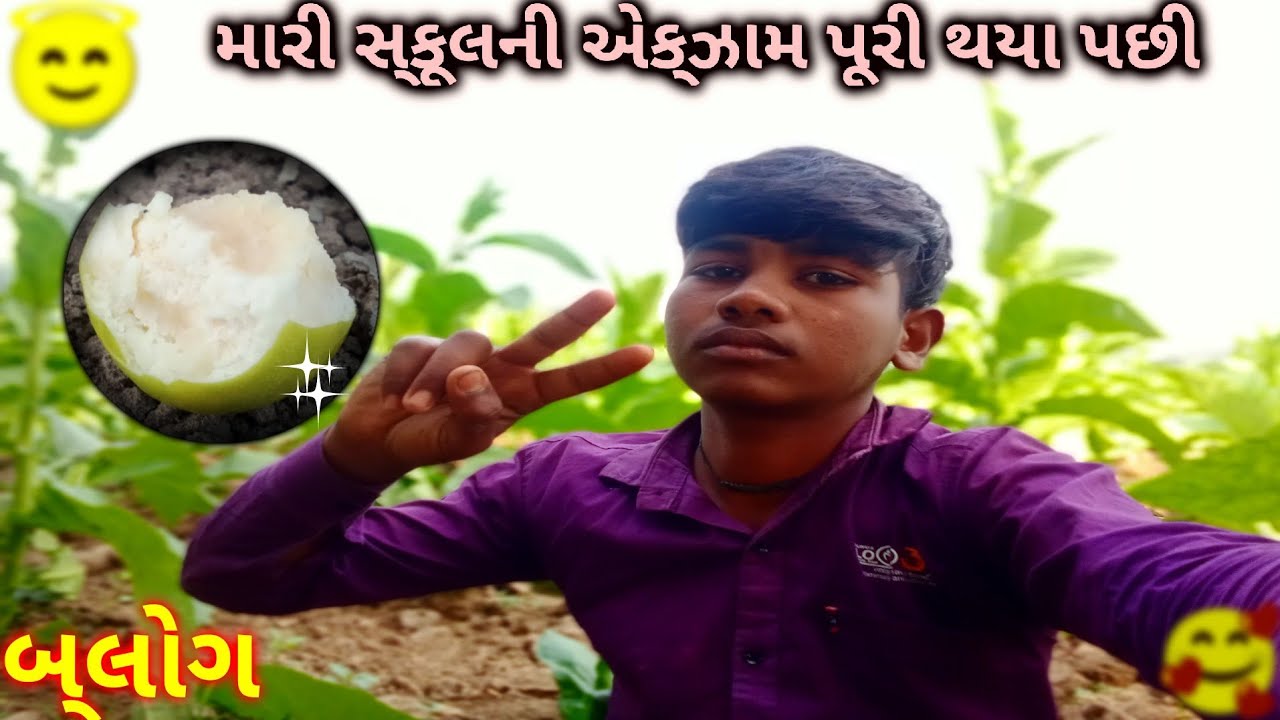 માય ફુલ મોજ માયરો બ્લોગ ✅