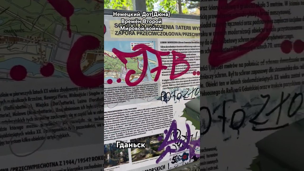 Немецкий дот сохранился до наших дней в Гданьске спустя 80 лет! #гданьск #варшава #война #польша