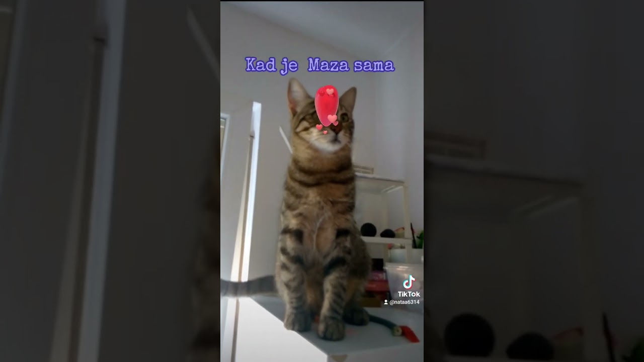 Maza je sama