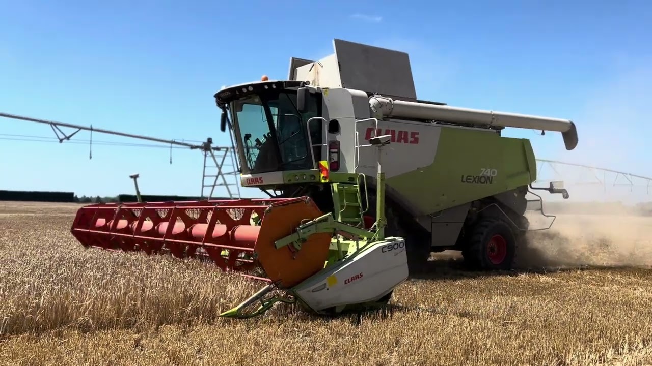Harvest Edit 2026 🤙
