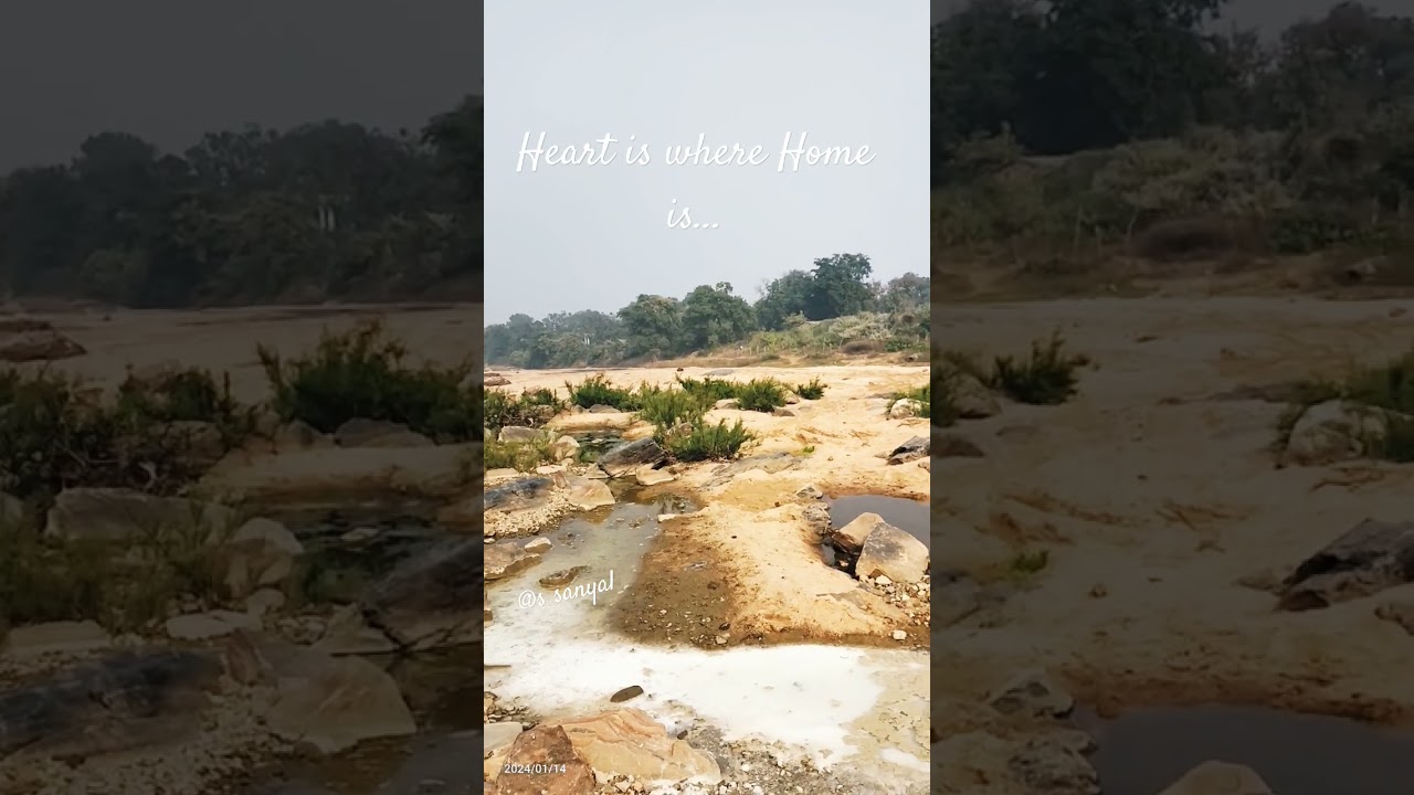 Beauty of Bihar 🌾🌽 #best #time #winter #season #bihar #travel #nature #photography