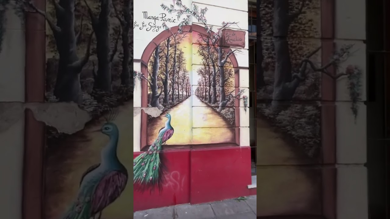 Palermo Soho Buenos Aires | Travel Shorts | Argentina Travel Video