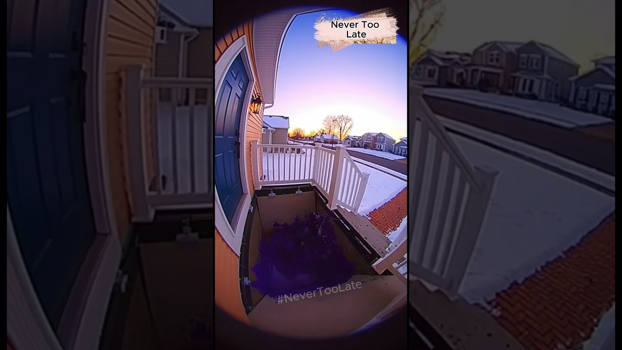 😳 He Grabbed the Box Outside the Post Office… Then Everything Went Wrong (Caught on Ring Camera)