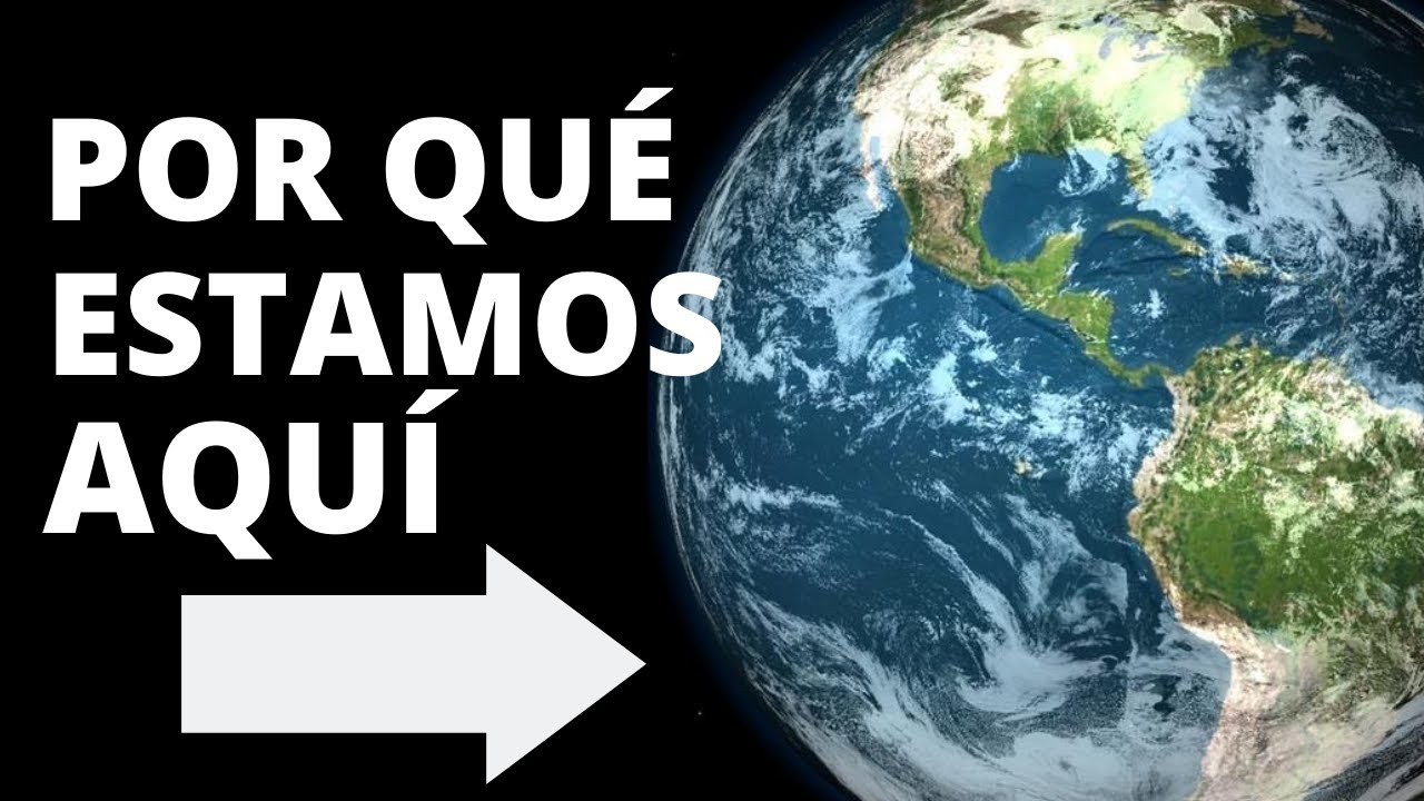 🔎DESCUBRE TU PROPÓSITO en la VIDA. Para qué estás aquí.