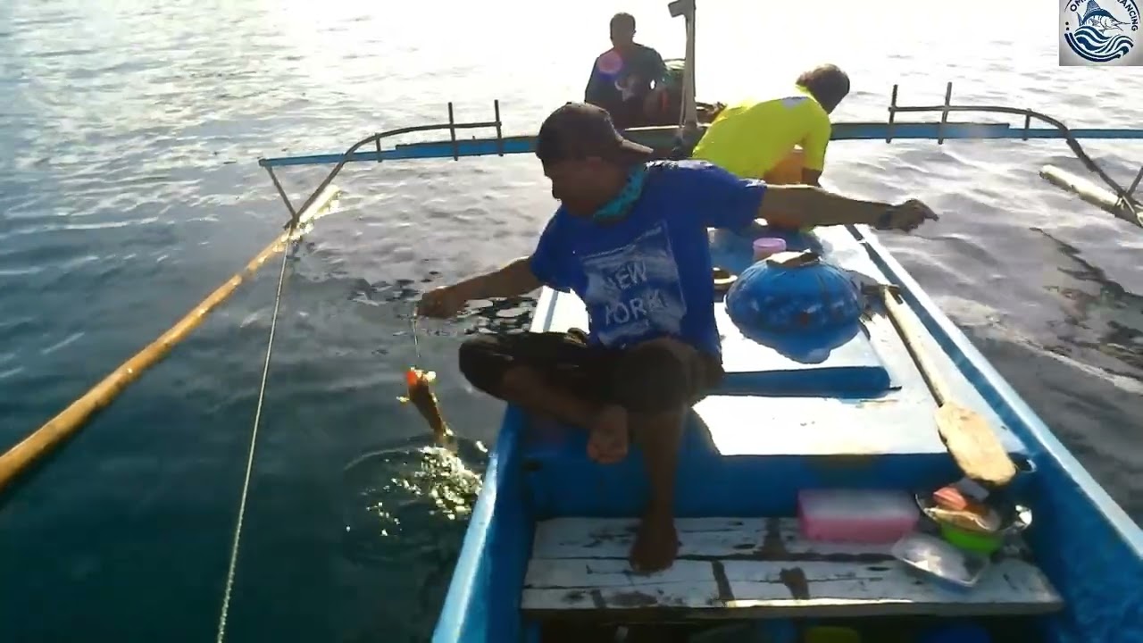 Mancing dispot surga ikan kerapu dan sunu _umpan ikan hidup mancing dilaut @OMBOTAMANCING 