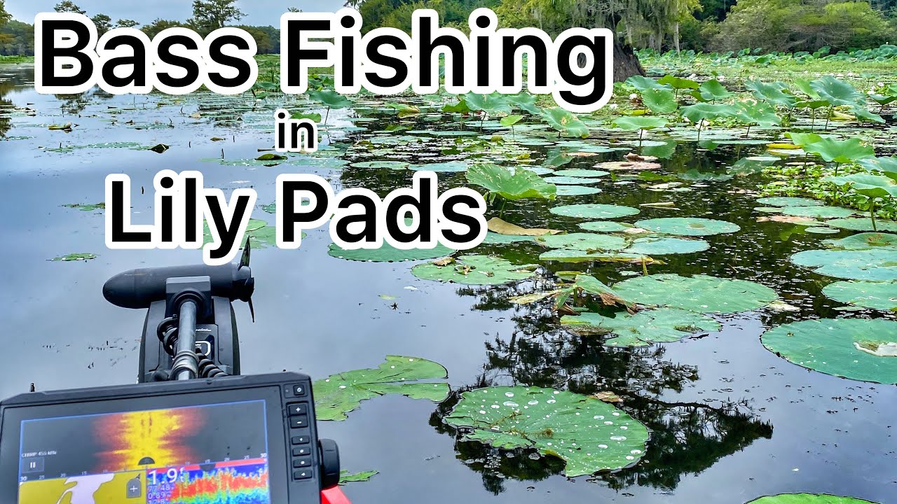 3 Baits and 3 Ways to Fish Lily Pads - Bass Fishing