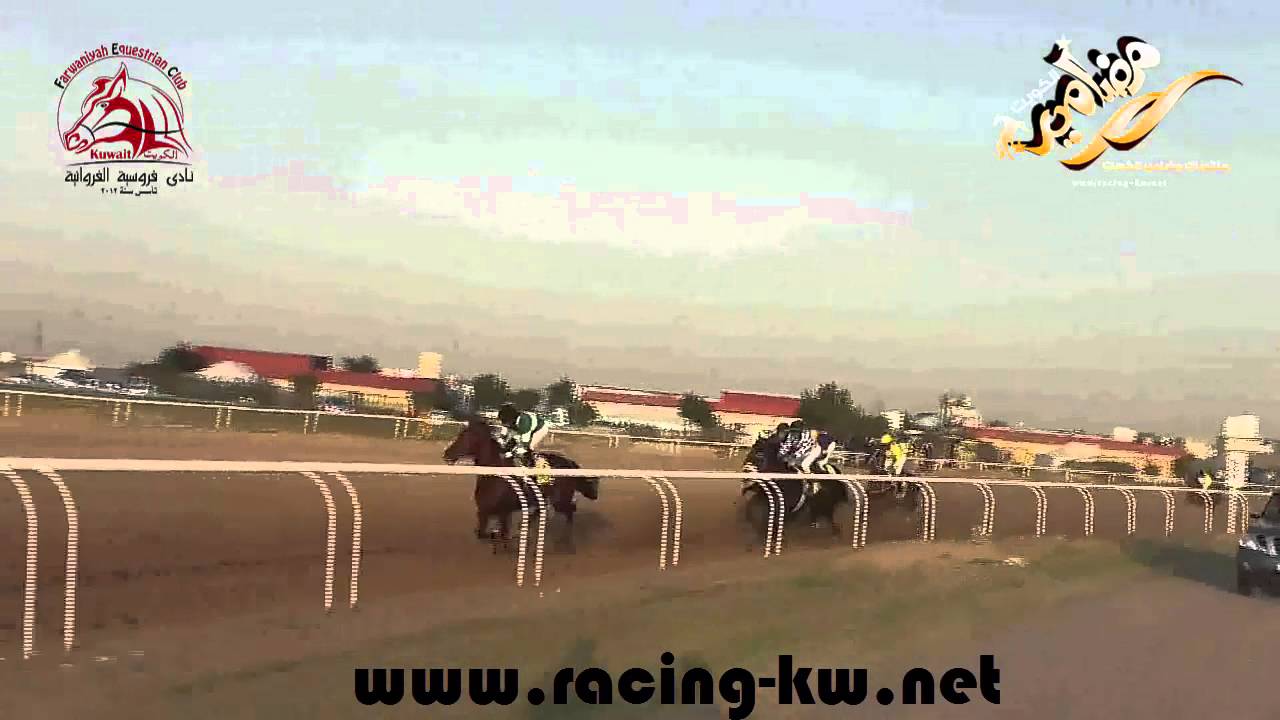 درعاوي لاسطبل الشلاحي