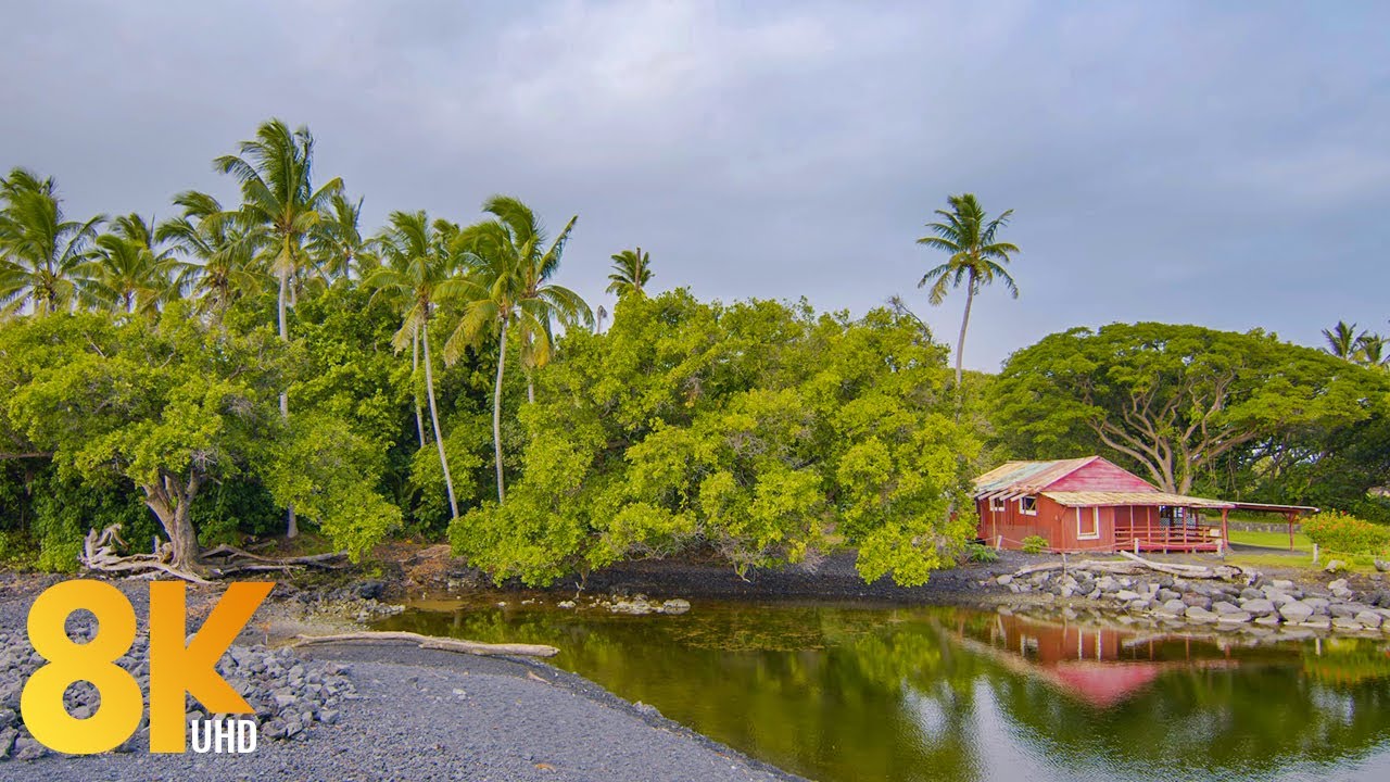 Incredible Diversity of the Big Island, Hawaii - 8K Scenic Film with Music - Part #1