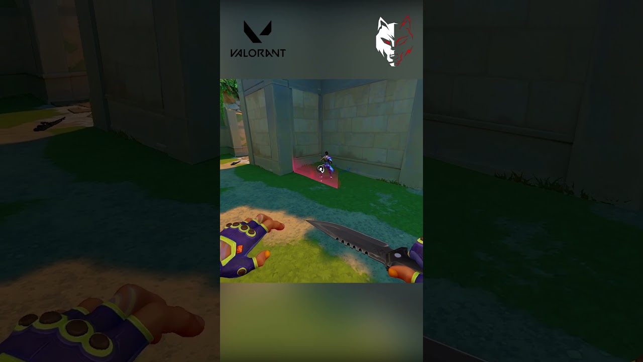 Deadlock's Sonic Sensor goes through walls! | Deadlock Agent | Dash FPS