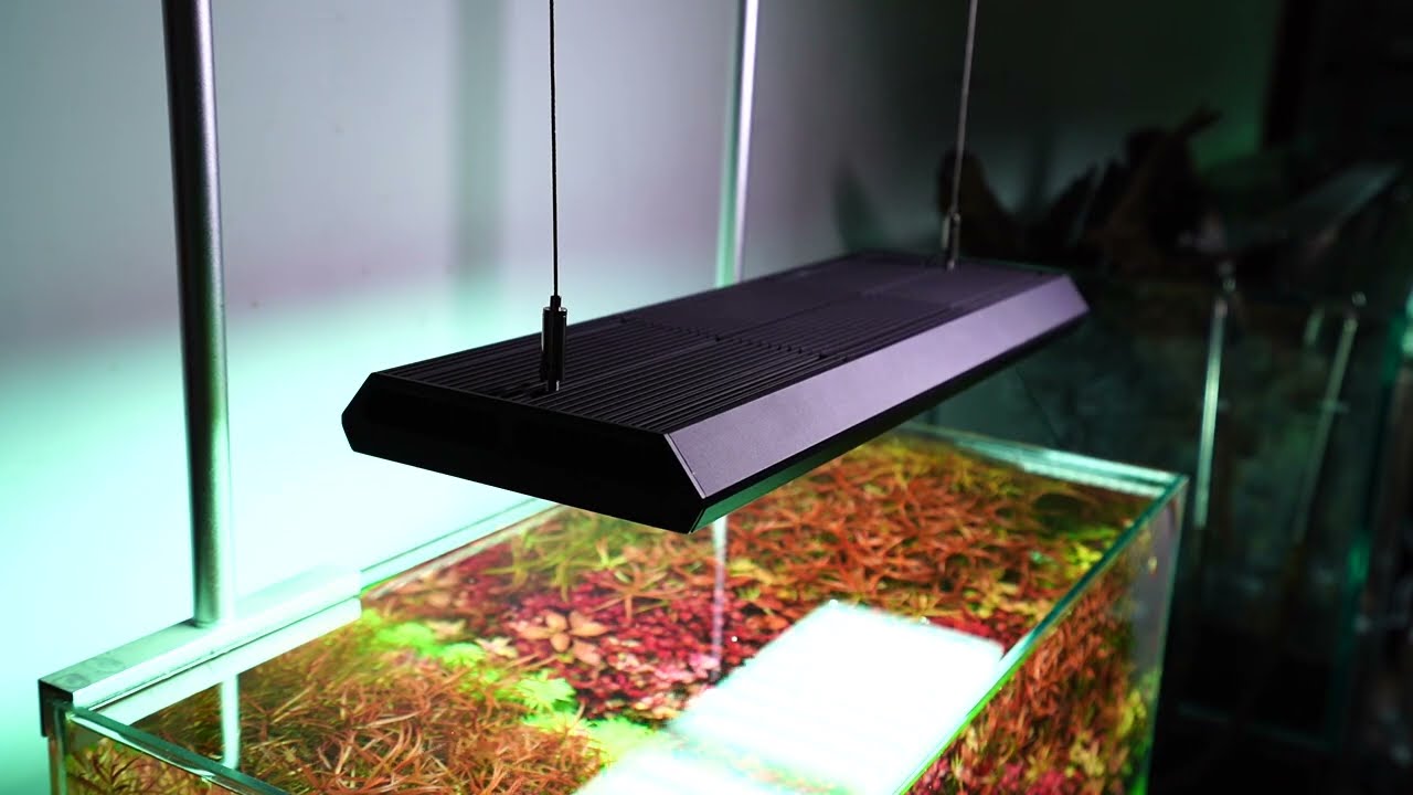 Chihiros RGB VIVID 2 aquascape 60*30*36cm
