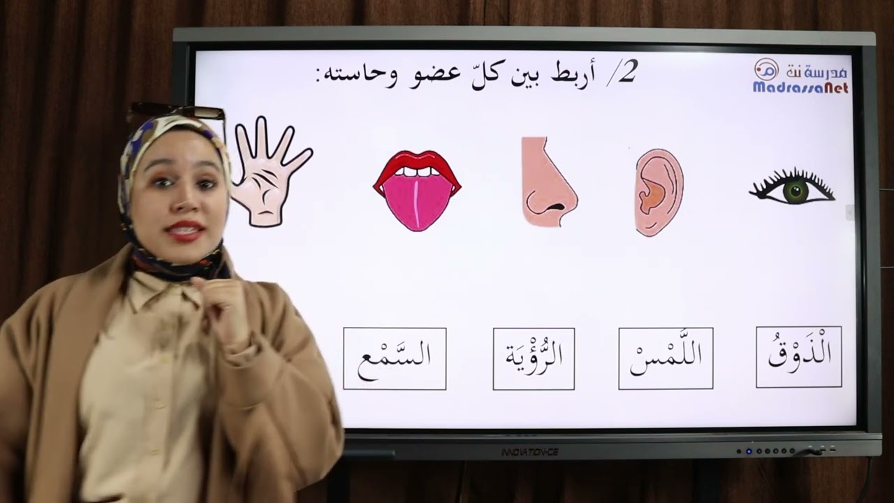 التربية العلمية والتكنولوجية  مراجعة لإختبار الفصل الثاني  السنة 1 إبتدائي