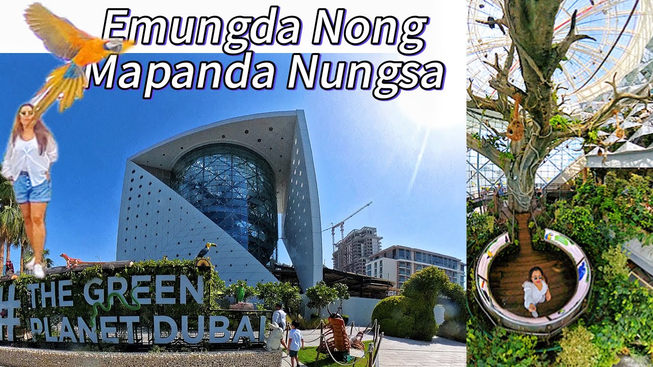 Emungda UuJao🪾ama!😲! “The Green Planet Dubai” Uchek amana Eibu Laknabire #rainforest #indoorplants