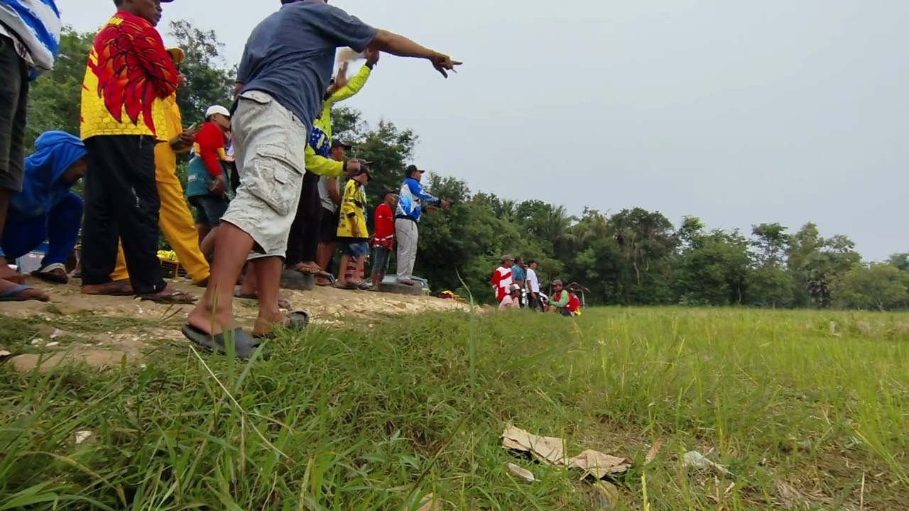 Glatama 500 M buangan B lap candicity jum'at 20-juni-2025