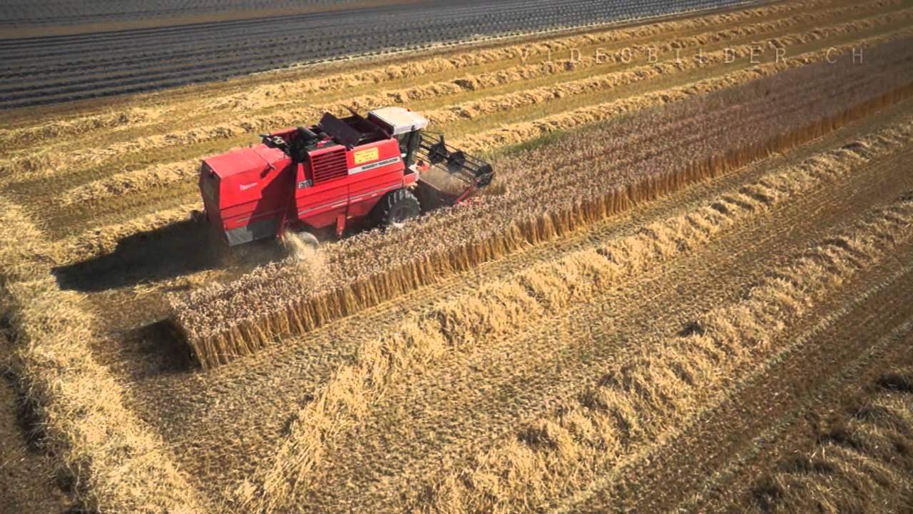 Rohmaterial Luftaufnahmen - Massey Ferguson 36