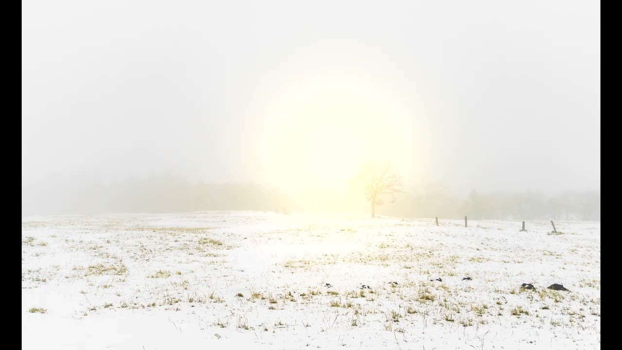 Tani Huynh - Consolation in uncertainty