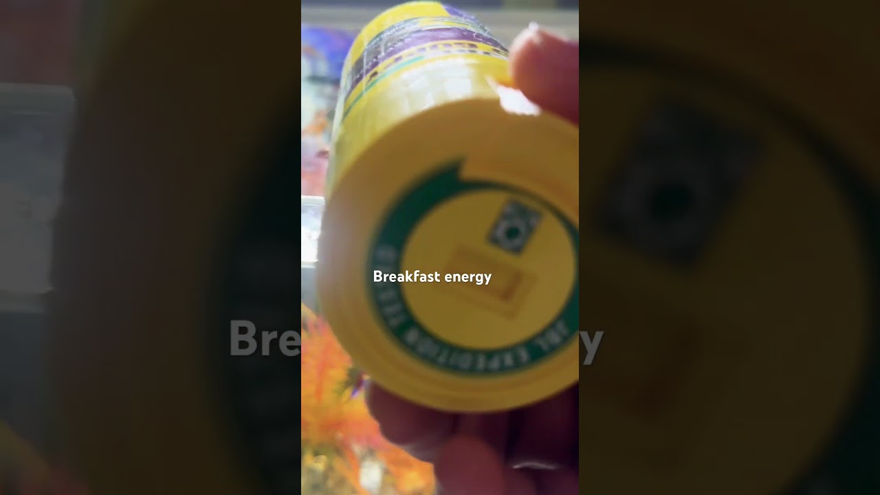 #guppies #fishmama #fishing #ilovemyguppies #breakfastenergy