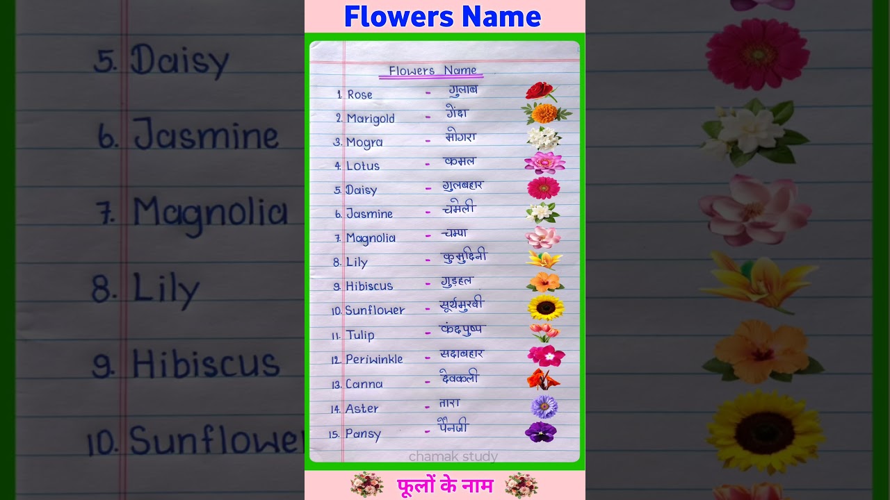 फूलों के नाम | Flowers Name in English and Hindi | Flowers Name #shorts #flowers #flowersname