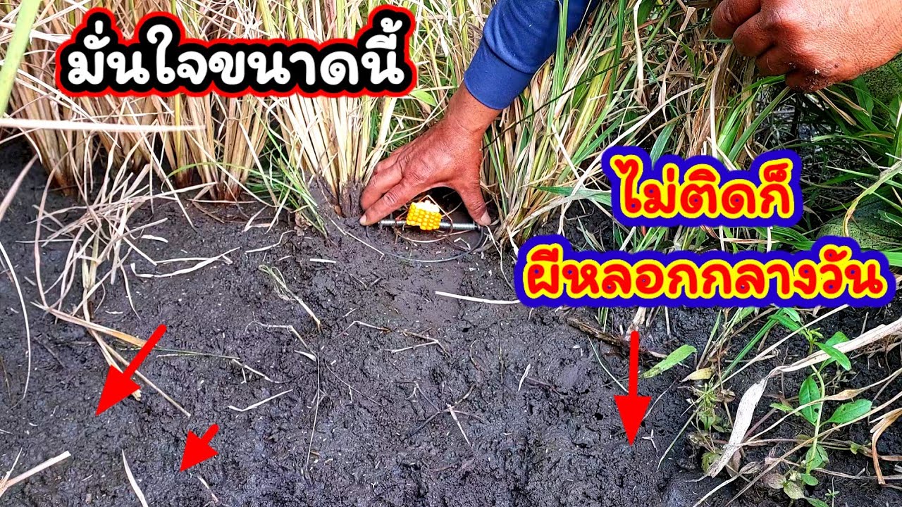 เจอรอยแปลกๆแบบนี้ อย่ามองข้าม