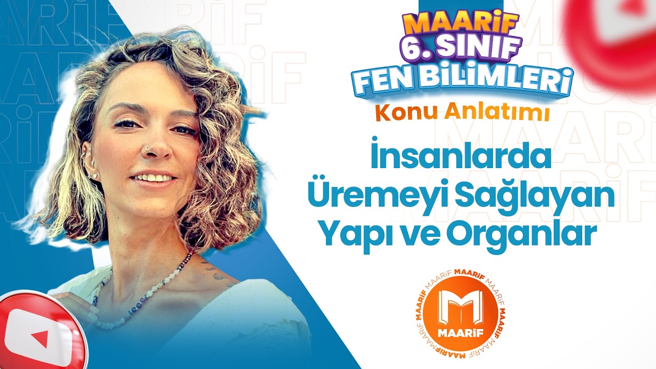 İnsanlarda Üremeyi Sağlayan Yapı ve Organlar  | 6. Fen Bilimleri | Maarif Modeli | Ders 11