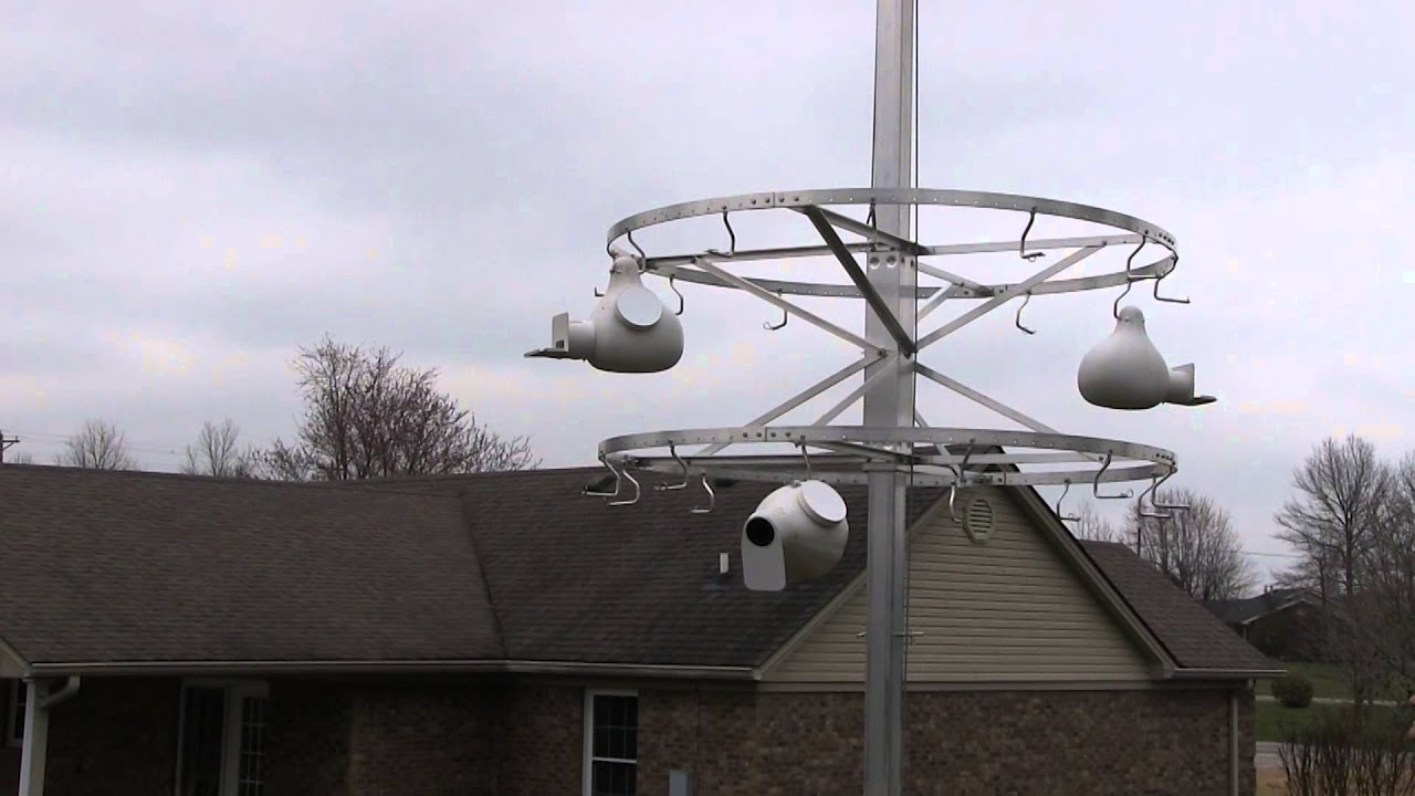 Purple Martin Boxes