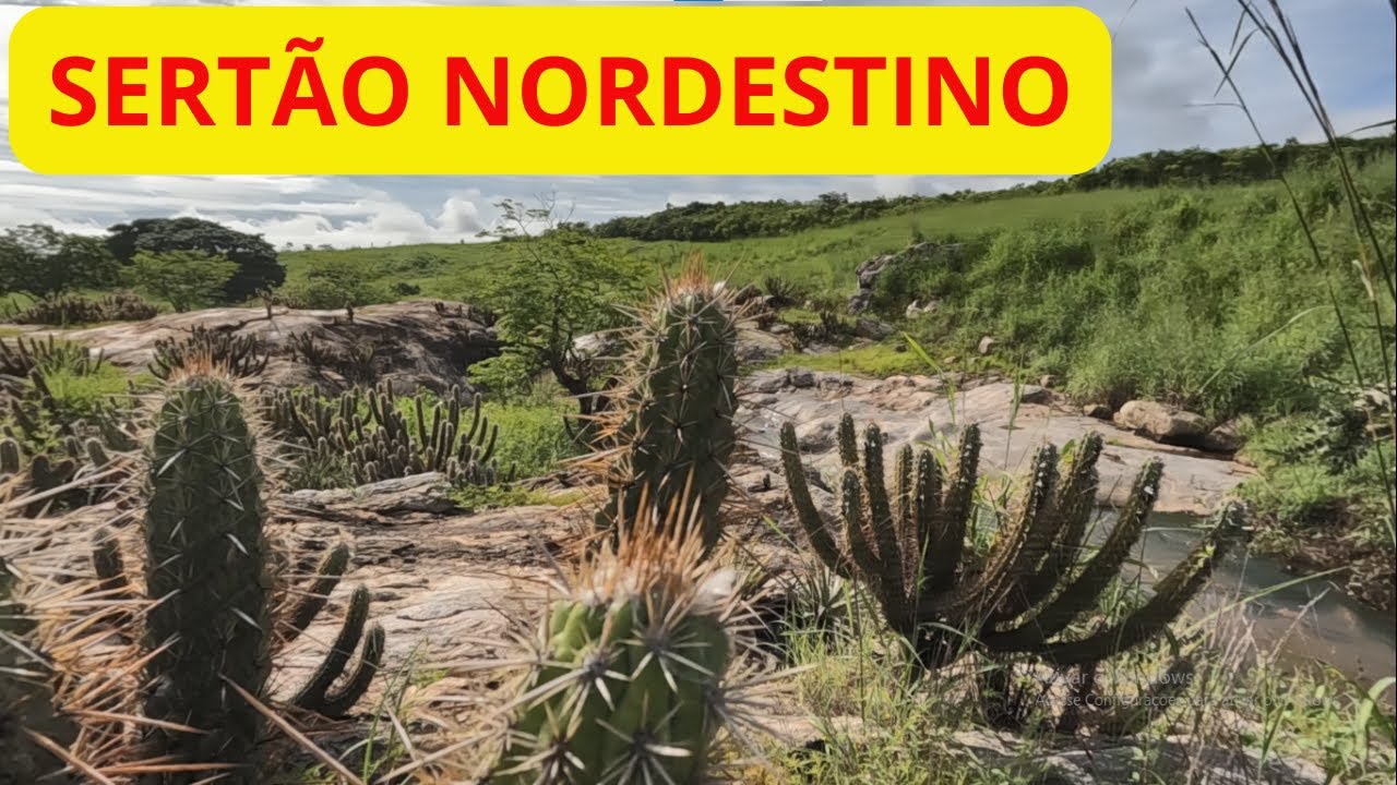 TANTAS HISTÓRIAS DO SERTÃO!